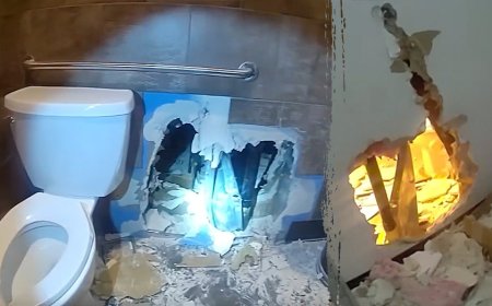 Bizarre tunneling burglary targets Washington Starbucks, deputies say