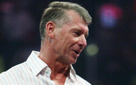 Vince McMahon Slammed For Saying WWE Legend Hulk Hogan Wasn't A Racist Despite Saying 'Racist Things'