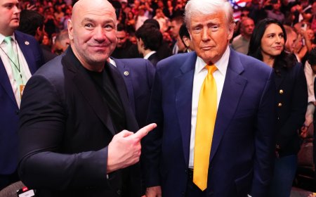 Dana White provides major UFC White House card update in good news for fans