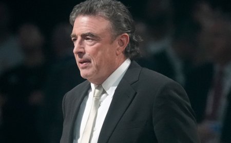 Wyc Grousbeck Won't Continue As Governor Of Celtics