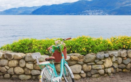 大理走失男童已离世，初步排除刑事案件可能