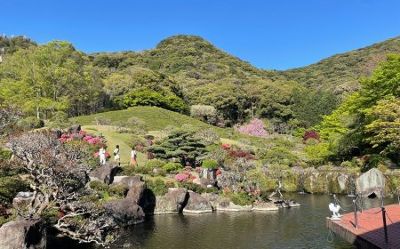 台女跟團遊日「誤闖平交道遭撞亡」　業者：全力協助家屬處理後事