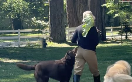 Pamela Anderson Loves Her Garden at Her Canada Home: Photos of Her Oasis