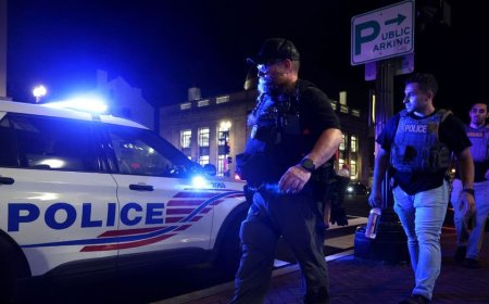 DC traffic stop reporting on illegal immigrants a ‘great step,' Trump says — other blue cities could be next