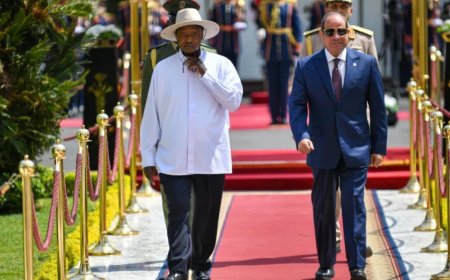 塞西与穆塞韦尼的会晤：尼罗河是地缘政治考量的核心