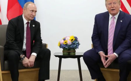 普京：伙伴还是对手？——美国专家解读阿拉斯加峰会前景