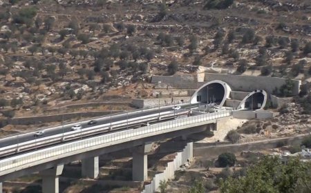 “马阿勒阿杜明”项目：为建立巴勒斯坦国的构想盖上“死亡证明”