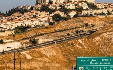 斯莫特里奇：约旦河西岸的非法定居点将“埋葬”巴勒斯坦国