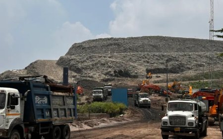 新德里的垃圾山成为印度拾荒者的“热炸弹”