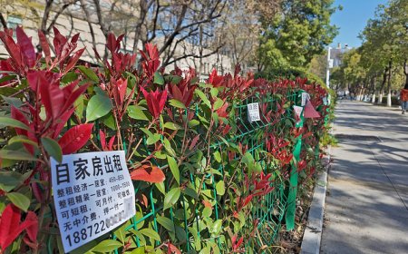 租房市场迎最强监管，备案制或终结房东“逃税时代”