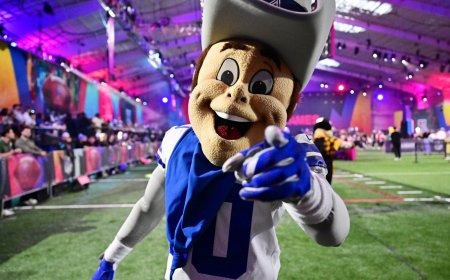 Ranking all 32 NFL teams’ mascots by how likely they are to win in a fight