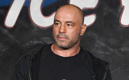 Rogan says voters are frustrated because they expected Trump's ICE raids to nab gang members, not landscapers