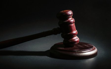 跨省非法填埋6700余吨废硫膏污染超3万吨土壤，19人被判刑