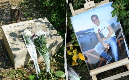 Vandals chop down tree honoring Jewish man tortured and killed in antisemitic attack