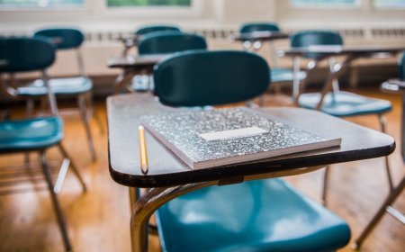 Why a classical education may be the key to humanity’s future in the AI era