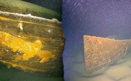 German researchers discover dozens of shipwrecks including possible WWII steamer lost in air raid