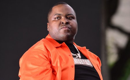 Sean Kingston Officially Sentenced After $1 Million Fraud Trial