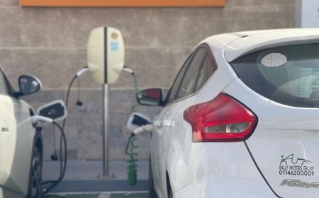 什么阻碍了埃及电动汽车项目的发展？