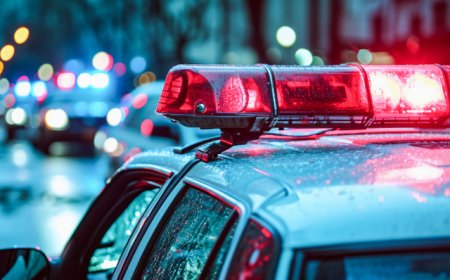 直通部委｜警方严打危害鸟类等犯罪抓获1.1万余人 7月房价同比降幅整体有所收窄