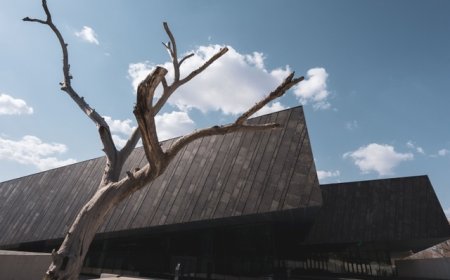 地方新闻精选 | 侵华日军第731部队细菌战新罪证史料公布 香格里拉首次拍到金钱豹影像