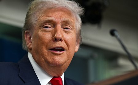 白宮忠誠度清單曝光　553家企業「挺川普法案」就得高分