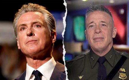 Border official fires back at Gavin Newsom's political ‘tantrum' over immigration raids in Los Angeles