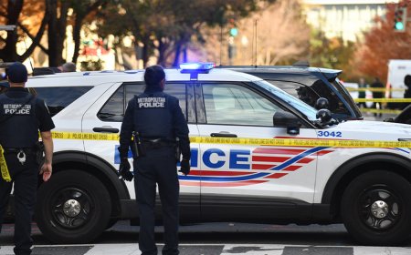 MIKE DAVIS: Trump takes over DC police, but here's what must happen next