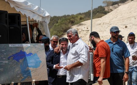 全球如何回应以色列在被占领的约旦河西岸的定居点计划