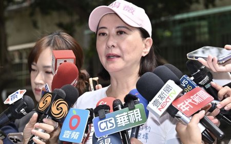 「公文檢討大罷免」被總統府打臉　王鴻薇2點回應再戰：造謠在哪裡