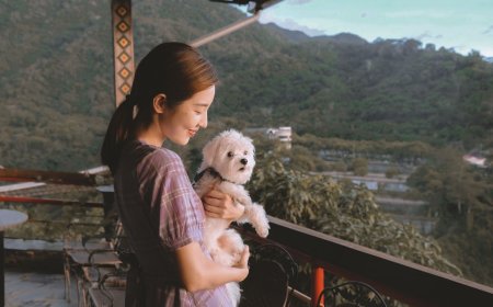 「方文山女主角」消失演藝圈9年近況曝！　韓雨潔救災狗園成「跨國行動」