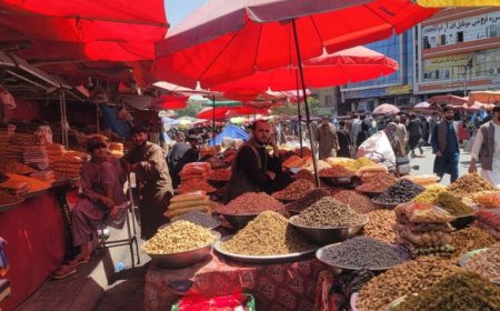 塔利班执政四周年：经济困境与阿富汗人的艰难生活