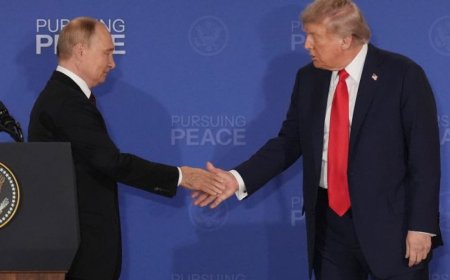 “满足自恋狂”：乌克兰反思特朗普与普京峰会