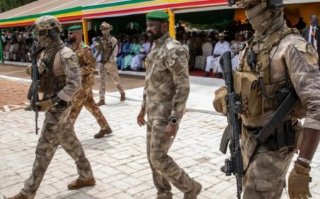 法国称马里以政变指控逮捕使馆工作人员“毫无根据”