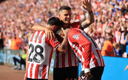 Sunderland post perfect three-word message as win seals dream return to the Premier League