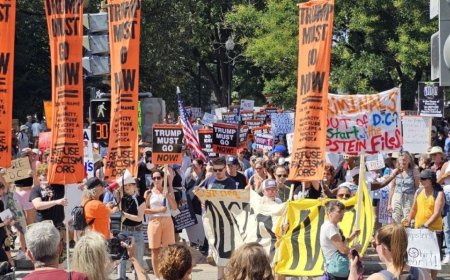 “华盛顿自由”：美国人抗议“对首都的军事占领”