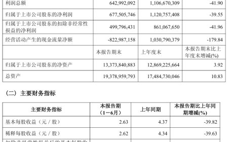 石头科技 2025 上半年营收同比增长 78.96%，净利润 6.78 亿元同比下降 39.55%