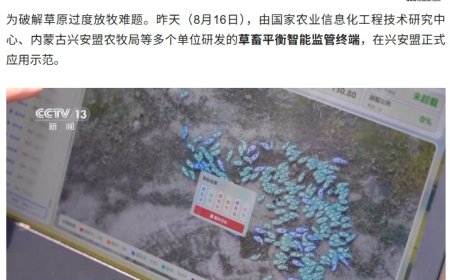 破解过度放牧难题，草畜平衡智能监管终端准确度超 96%