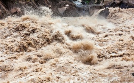 山洪已致内蒙一地野外露营9人遇难，应急管理部工作组赴现场指导救援