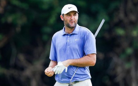 Scottie Scheffler holes miraculous chip shot from rough to seal BMW Championship victory at Caves Valley