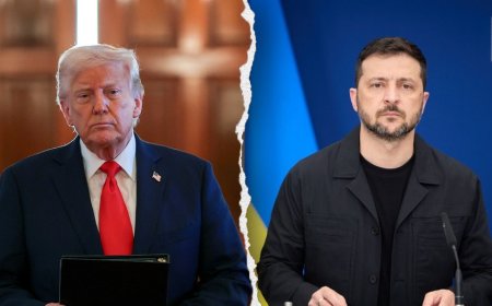 Ukrainian designer predicts Zelenskyy will wear military suit for high-stakes Trump meeting