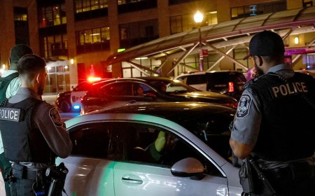 68 DC suspects arrested in single night as White House touts Trump's push to 'clean up' capital city