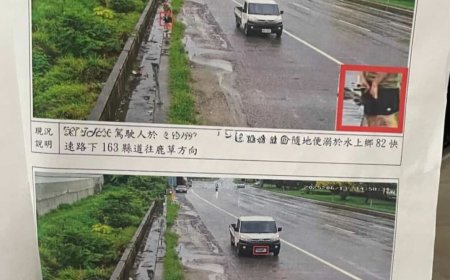 路邊尿尿收罰單「小鳥放水特寫照」　笑翻網：高畫質連鳥都不放過