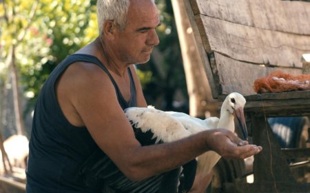 Venice and Toronto-Bound ‘The Tale of Silyan,’ From Director of Double Oscar-Nominated ‘Honeyland,’ Boarded by Dogwoof (EXCLUSIVE)