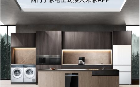 网友提问格力能否接入小米米家 App，卢伟冰回应“技术上没问题”