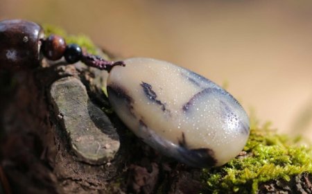 央视曝光和田玉骗局，河南镇平县：4名主播和制假人员被控制