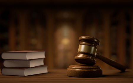 法治面｜涉11.598亿美元招商引资大案，女商人被判非法经营罪将申诉