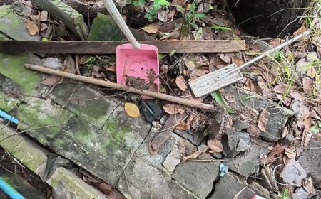 68歲翁親手埋葬愛犬！　下秒「離奇暴斃」狗狗墳墓旁