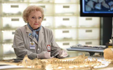 David Boreanaz Recalls NSFW Remarks Betty White Made About Him on ‘Bones’