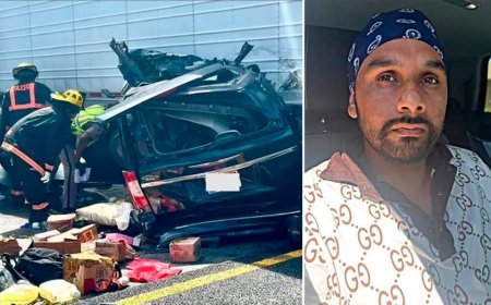 Illegal immigrant truck driver accused in deadly Florida crash got Biden work permit after Trump denial: DHS
