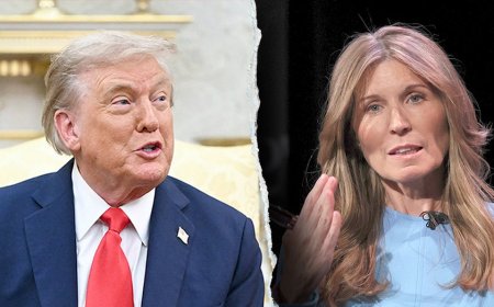 Trump predicts 'loser' MSNBC host Nicolle Wallace will be fired soon after her on-air rant